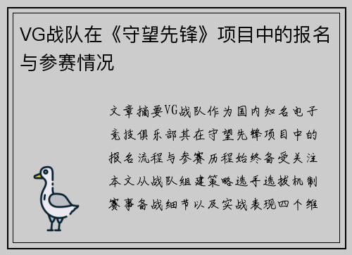 VG战队在《守望先锋》项目中的报名与参赛情况