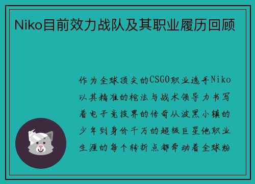 Niko目前效力战队及其职业履历回顾